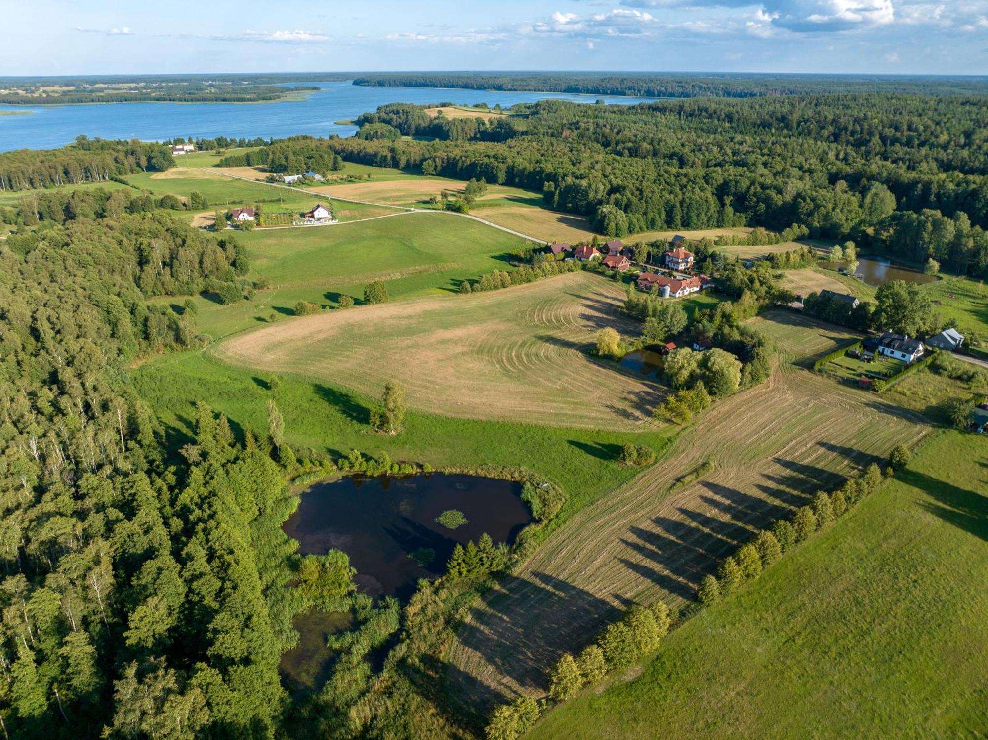 Siedlisko *
