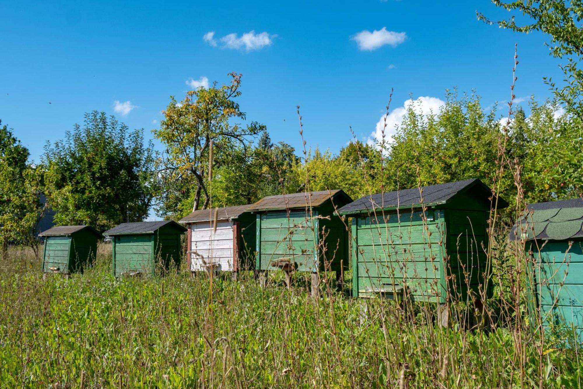 Siedlisko Agroturismo