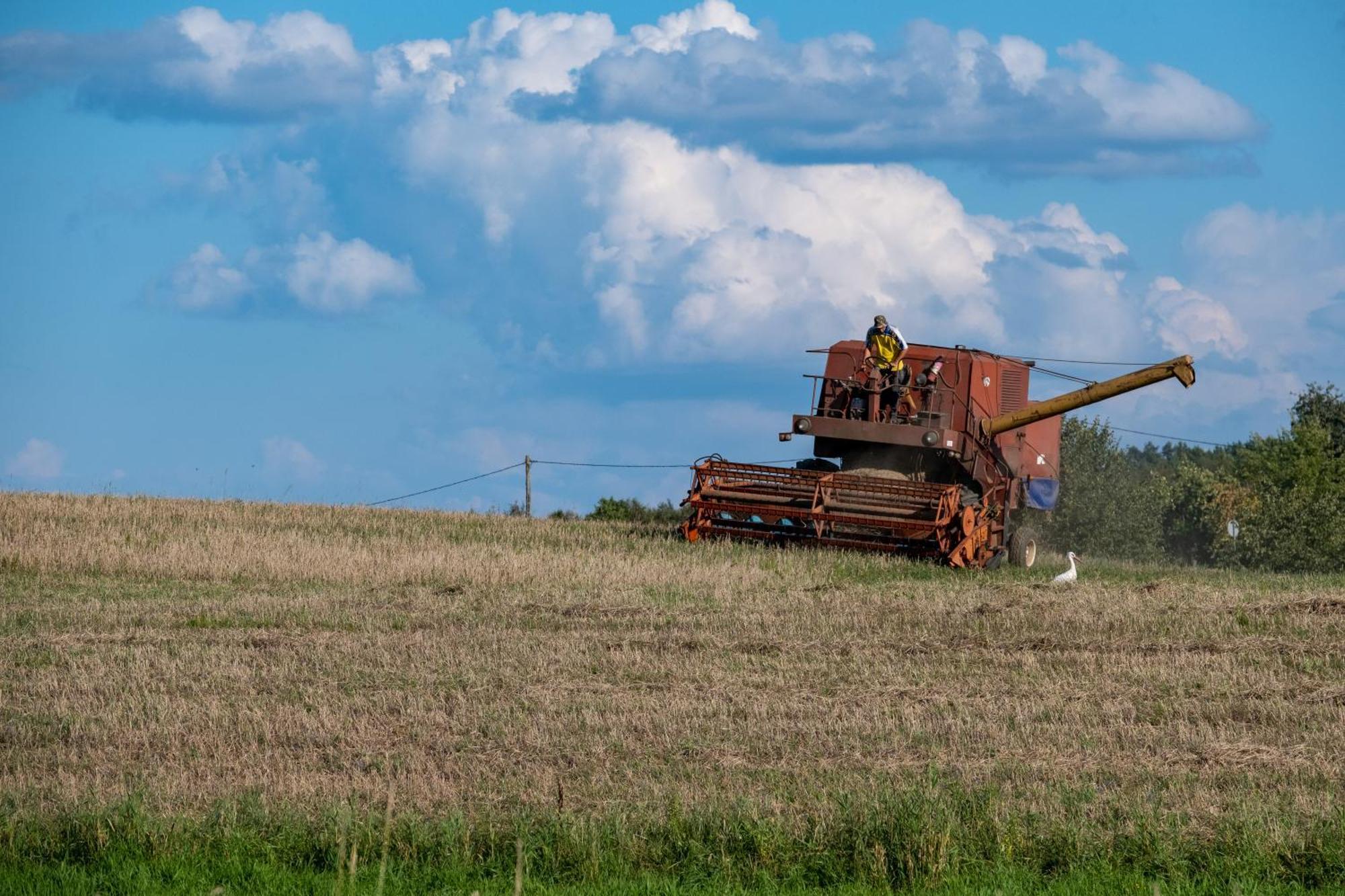 Agroturismo Siedlisko