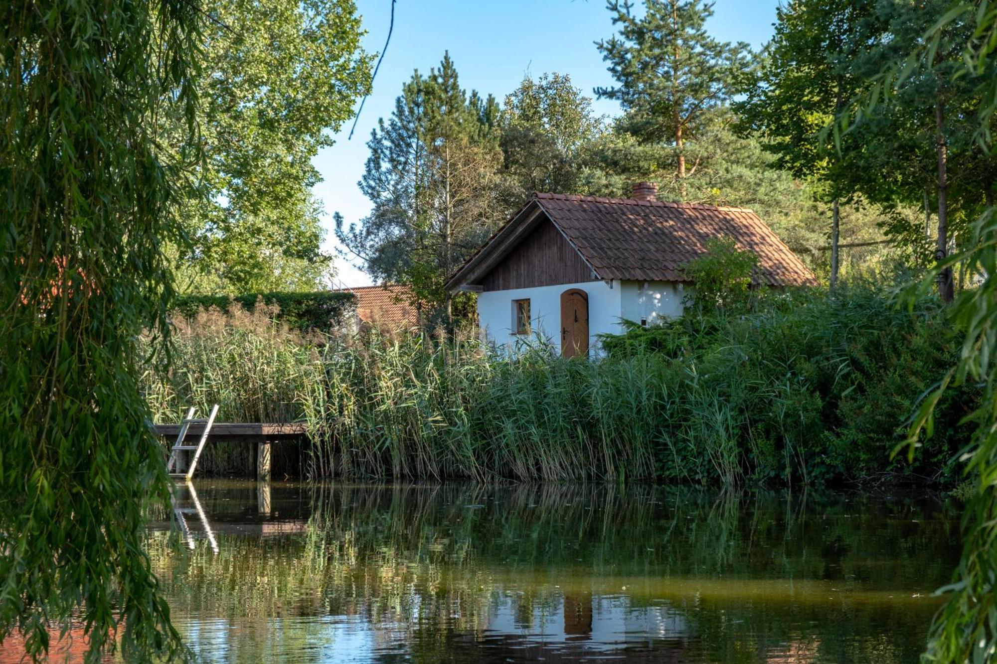 Siedlisko