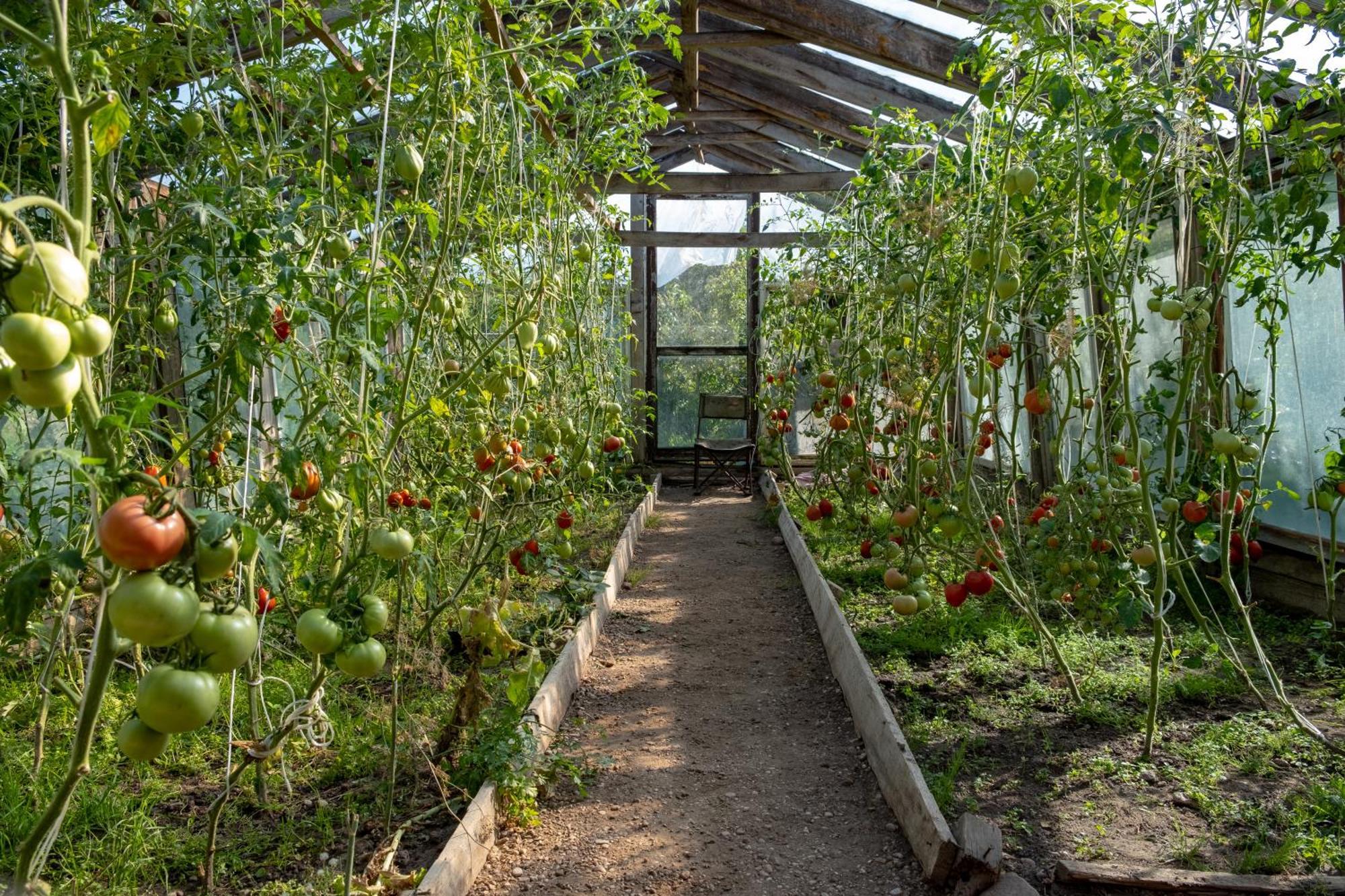 Siedlisko Agroturismo *